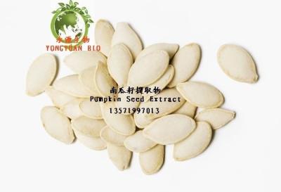 China high quality Cucurbita moschata Duchesne Pumpkin Seed Extract for sale