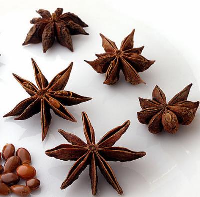 China Illicium verum Hook. f. 10:1 Fructus anisi stellati Extract/ Star Anise Extract for sale