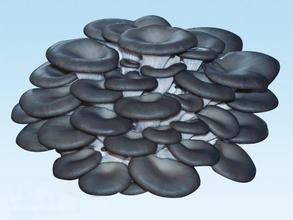 China Regulating immunity 30% Polysaccharides UV, Black mushroom Extract for sale