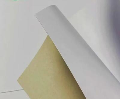 China WTL White Top Testliner multi-ply sheet Top Kraft Liner Paperboard for sale