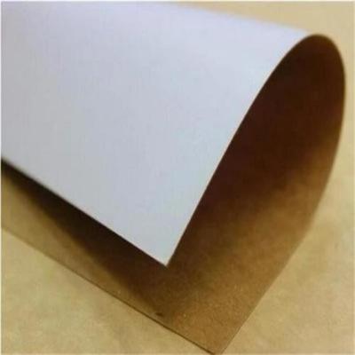 中国 覆われた白色上層包装板 白色上層試料包装板 リサイクルパルス 販売のため