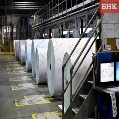 Quality White Light Weight Coated Paper LWC Paper In Rolls Good Brightness for sale