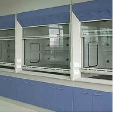 China Cupboard Steel Fume Hood Lab Equipment , Chemical Fume Hood For School for sale