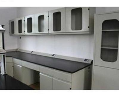 China Modular And Durable Steel Laboratory Casework Wall Cabinet In Modern Style for sale