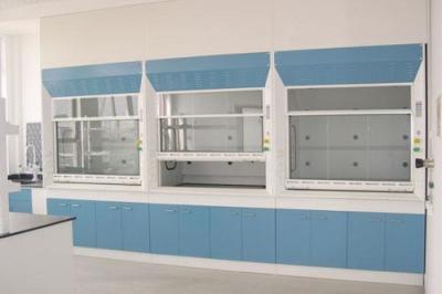 China Biochemistry Laboratory Fume Hood for sale