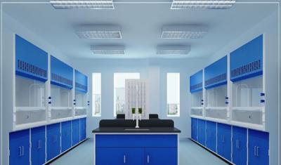 China Laboratory School Lab Ventilation System / Metal Laboratory Fume Cupboard for sale