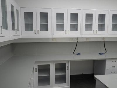 China 25mm SS 304 Medical Lab Table With Wall Mounted Cabinet for sale