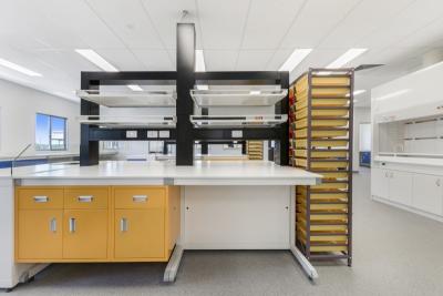China Chemistry Bio Pharmaceutical Steel Commercial Lab Casework Lab Furniture for sale