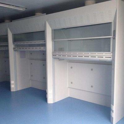 China Laboratory Floor Mounted 0.4m/S Chemical Fume Hood for sale