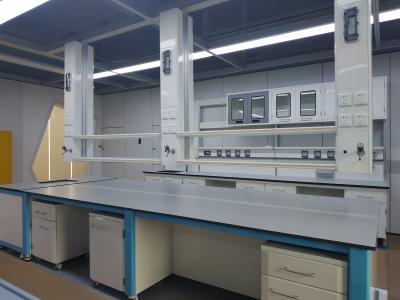 Cina mobilia del laboratorio della scuola di 20mm con il lavandino dell'incavo elettrico in vendita