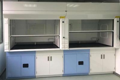 China Polished ISO9001 Floor Mounted Laboratory Fume Hood for sale