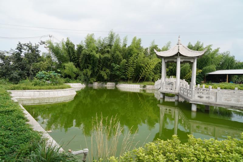Verified China supplier - Shandong Xinghua Steel Structure Co., Ltd.