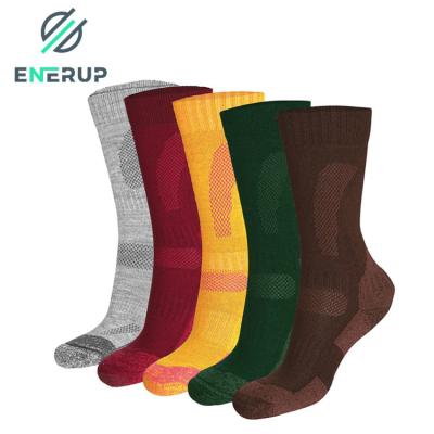 China Warm Anti Merino Wool Socks Friction Terry Ankle Socks For Hiking for sale