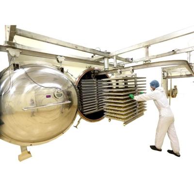 China máquina de la liofilización 1000kg en venta
