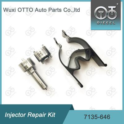 China 7135 - 646 Delphi Injector Repair Kit for sale