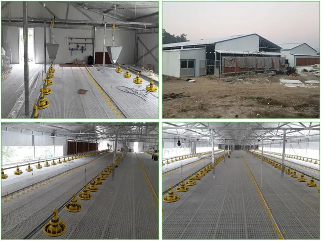 Prefabricated Steel Structure Poultry Farm Livestock Chicken House Coop Shed