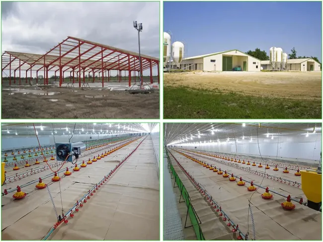 Prefabricated Steel Structure Poultry Farm Livestock Chicken House Coop Shed