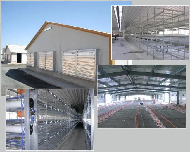 Prefabricated Steel Structure Poultry Farm Livestock Chicken House Coop Shed