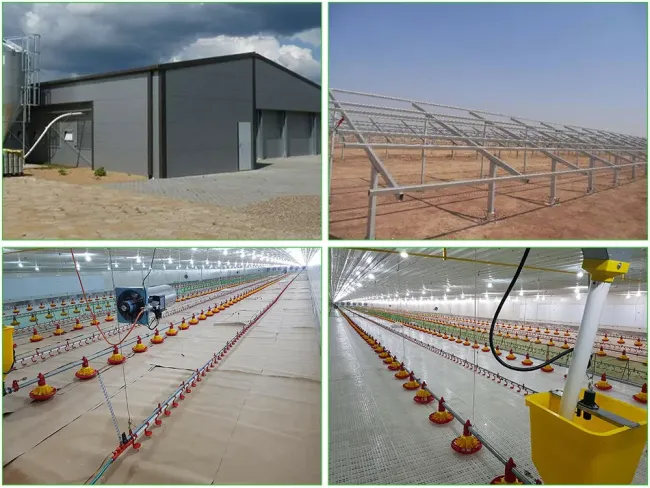 Prefabricated Steel Structure Poultry Farm Livestock Chicken House Coop Shed