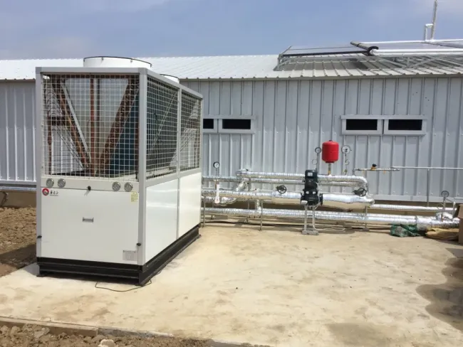 Steel Structure Chicken House