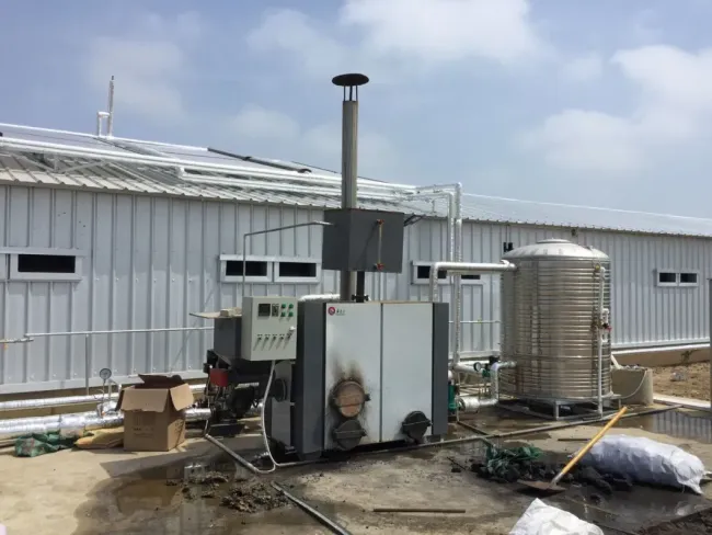 Steel Structure Chicken House