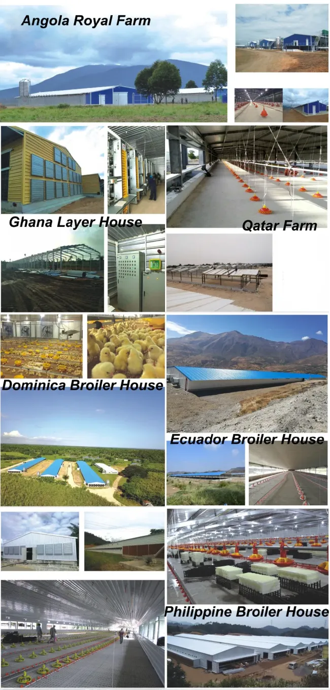 Steel Structure Prefabricated Building Poultry Farms for Chicken Broilers Layers