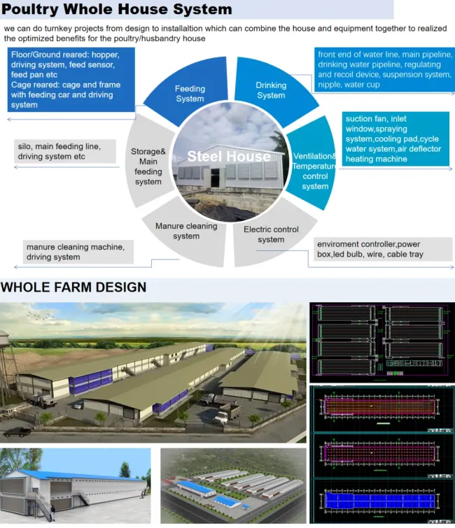 Steel Structure Prefabricated Building Poultry Farms for Chicken Broilers Layers