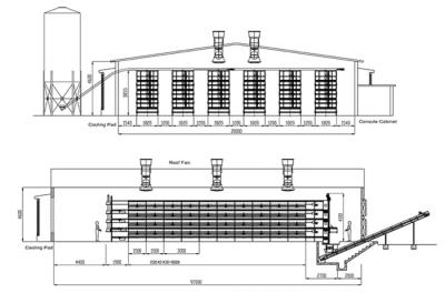 China ISO Broiler Chicken Cage System Custom Poultry Broiler Cage For Poultry Husbandry for sale