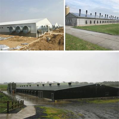 Китай SGS Животноводческая ферма Дом с готовым изготовлением Автоматизированная стальная рама Куриный ковер продается