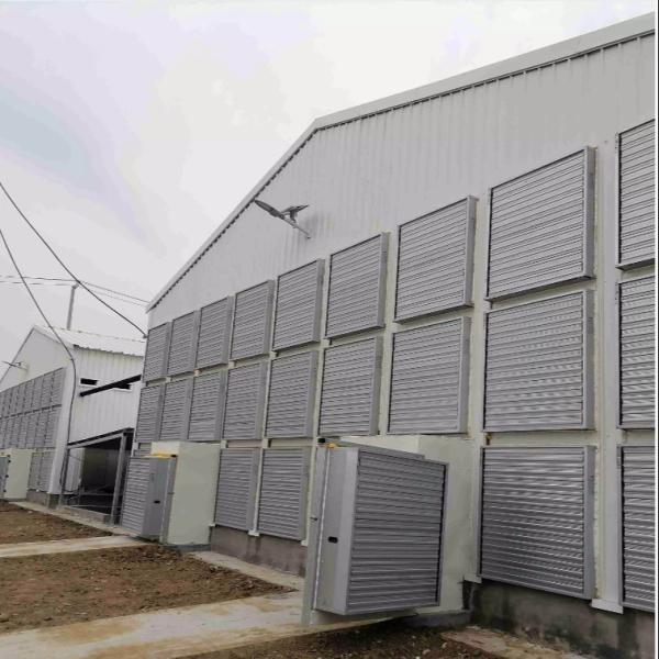 Quality OEM Standard Poultry House Steel Structure With Sliding Windows for sale