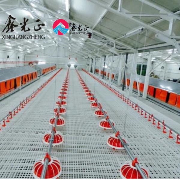 Quality Prefabricated Livestock Farm House H Section Steel PVC Insulation for sale