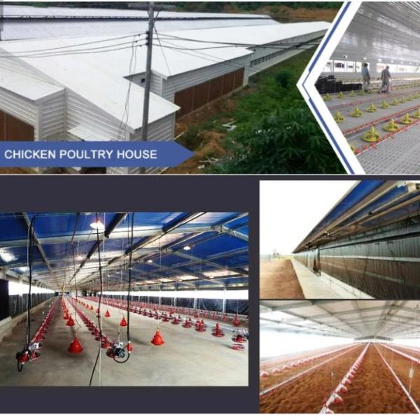 Quality Prefabricated Livestock Farm House H Section Steel PVC Insulation for sale