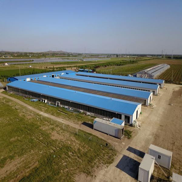 Quality Poultry Farm Chicken House Light Prefabricated Steel Structure Building for sale