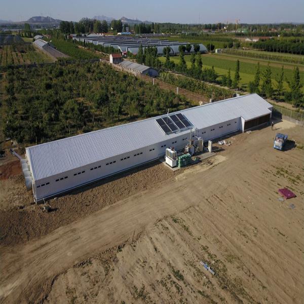 Quality Poultry Farm Chicken House Light Prefabricated Steel Structure Building for sale