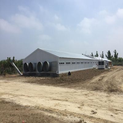 China Granja de aves de corral Casa de pollo Edificio de estructura de acero prefabricado ligero en venta