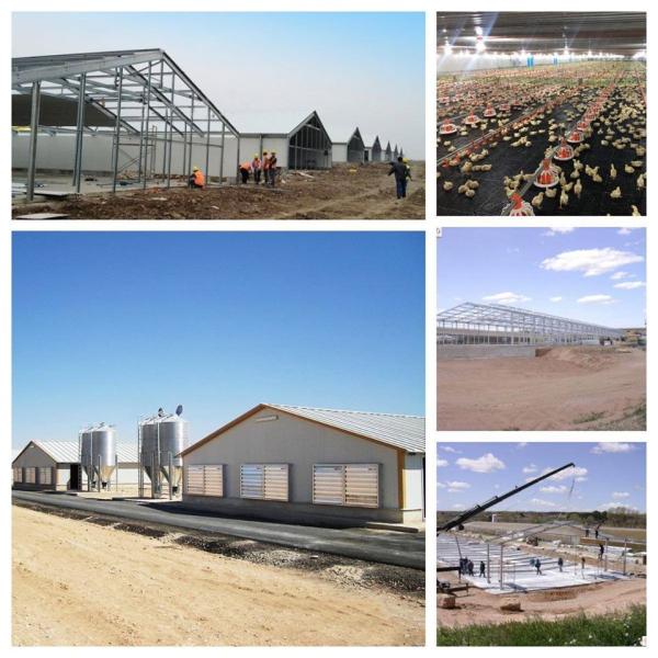 Quality CE Livestock Farm House Steel Structure Chicken House And Equipment For Chicken for sale