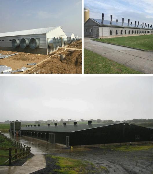 Quality CE Livestock Farm House Steel Structure Chicken House And Equipment For Chicken for sale