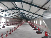 Quality H Section Steel Commercial Chicken House Prefabricated Steel Structure for sale