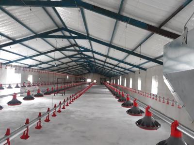 China H Section Steel Commercial Chicken House Prefabricated Steel Structure for sale