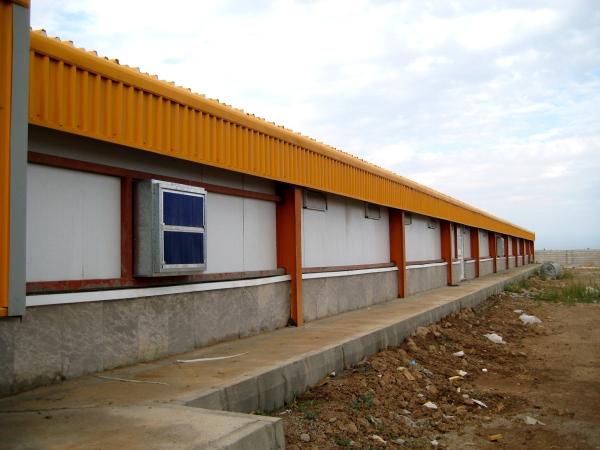 Quality H Section Steel Commercial Chicken House Prefabricated Steel Structure for sale