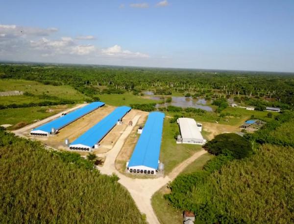 Quality ISO Livestock Farm House Prefabricated Steel Structure Poultry Farm House for sale