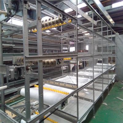 China H Frame Cage Design Automatic Broiler Feeding System voor geavanceerde boerderijen Te koop