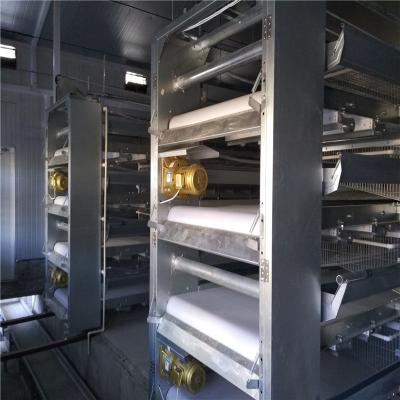 China Automatisches Fütterungssystem für Broiler mit elektrostatischem Sprühen zu verkaufen