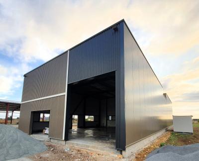China Steel Structure Hangar Prefabricated Hot Rolled Galvanized Warehouse Building Shed for sale