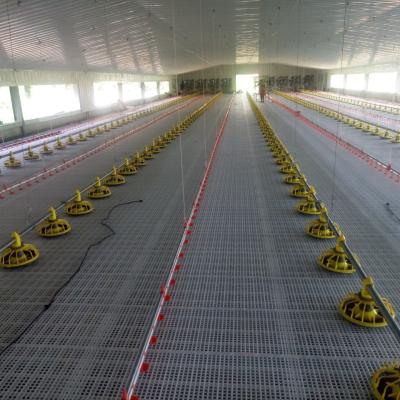 China Solución de suelo de pollo de plástico para un rendimiento óptimo en la avicultura en venta