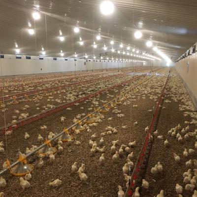 중국 Long Lasting Meat Chicken Floor System with Corrosion Resistance / Plastic Materia 판매용