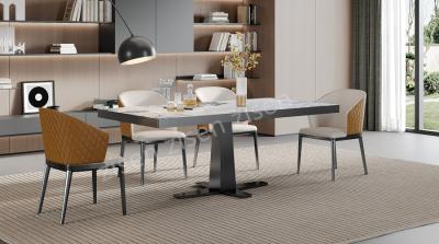 中国 Luxury Dining Room Table Chair Set Scandinavian Marble Dining Table And Chair For Home 販売のため