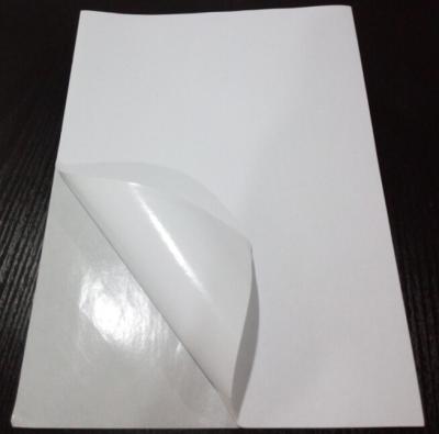 China Blanco hojas en blanco de la etiqueta engomada de 8,5 del x 11cm Woodfree, hojas llanas de la etiqueta engomada en venta