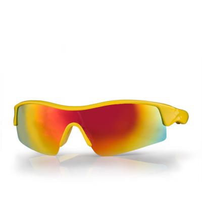 China Cor amarela da lente permutável do PC dos óculos de sol ponta polarizada do braço do silicone do deslizamento anti à venda