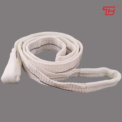 China Color Code Duplex Lifting Pulley Polyester Flat Webbing Sling 25mm 300mm 1T for sale